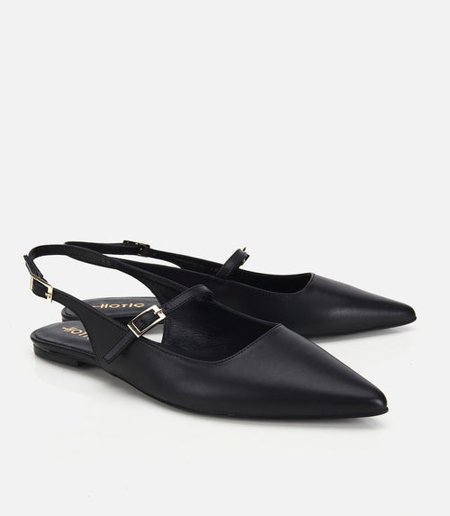 Babet Grash e Zezë - anash